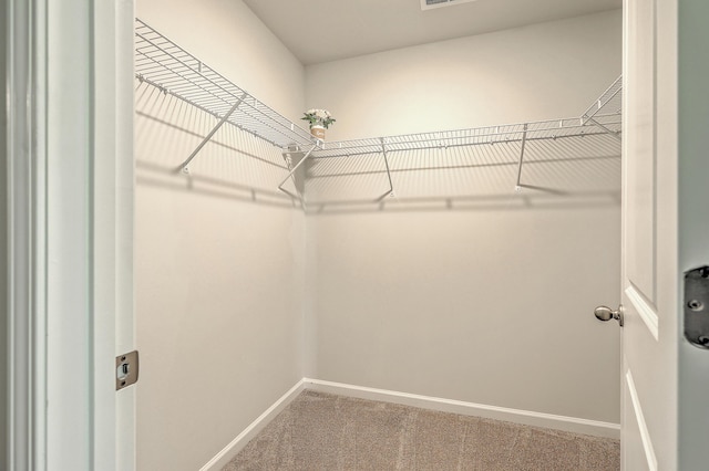 505 Shady Maple St, Moncks Corner, SC 29461 - spacious closet with carpet flooring