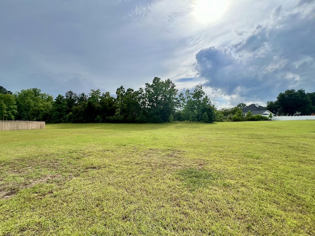505 Shady Maple St, Moncks Corner, SC 29461 - view of yard