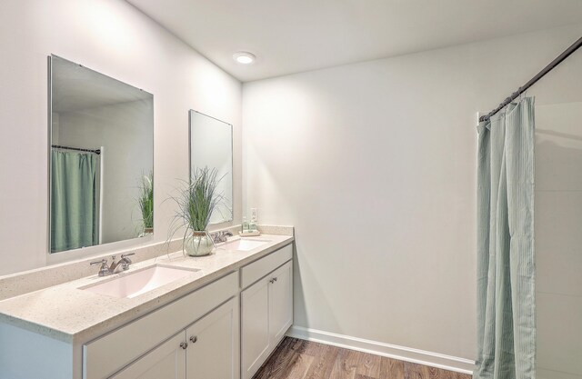 505 Shady Maple St, Moncks Corner, SC 29461 - full bathroom with double vanity, wood finished floors, and baseboards
