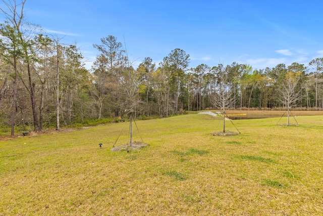 68 Red Bluff St, Summerville, SC 29483 - view of yard