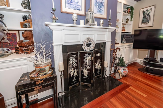 details featuring a fireplace and wood finished floors