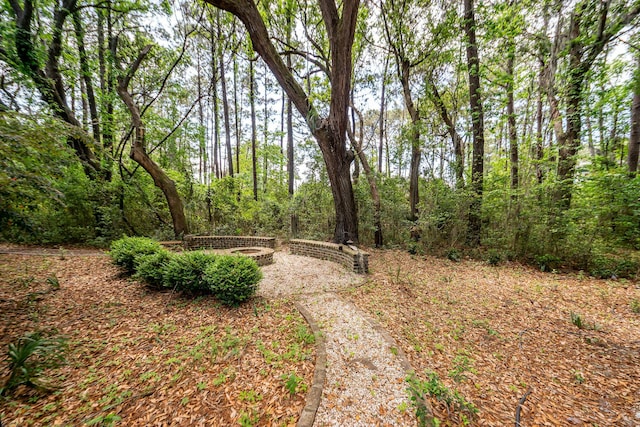 view of yard featuring an outdoor fire pit