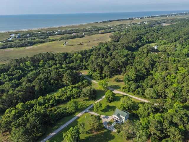 1064 Blackbear Dr, Edisto Island, SC 29438 - aerial view of property's location with a nearby body of water and a forest