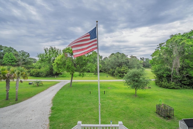 1064 Blackbear Dr, Edisto Island, SC 29438 - view of home's community with a lawn and view of scattered trees
