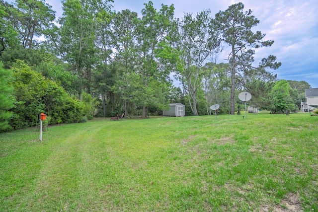1064 Blackbear Dr, Edisto Island, SC 29438 - view of green lawn featuring a shed