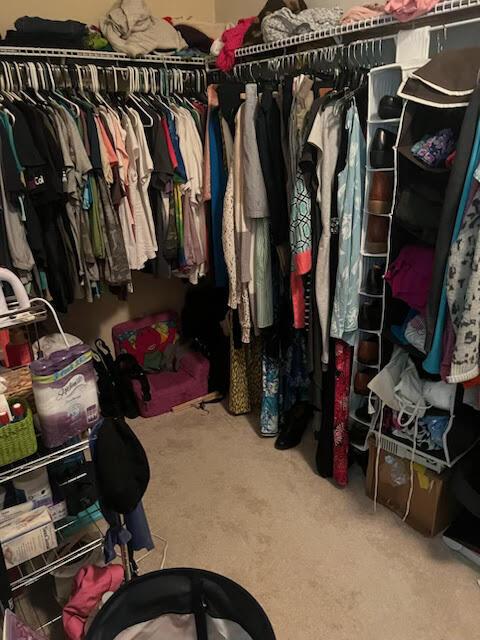 spacious closet featuring carpet flooring