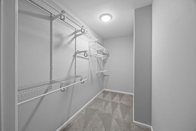 5488 Altamaha Dr, North Charleston, SC 29420 - walk in closet featuring carpet flooring