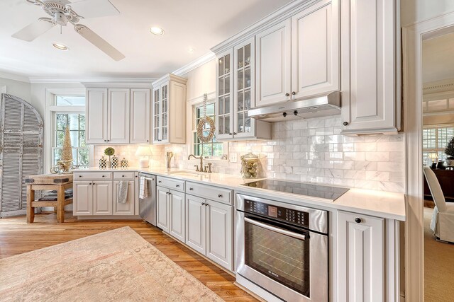 392 Tombee Ct, Mount Pleasant, SC 29464