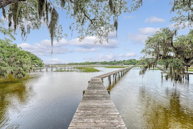 392 Tombee Ct, Mount Pleasant, SC 29464