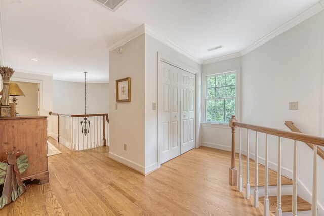 392 Tombee Ct, Mount Pleasant, SC 29464