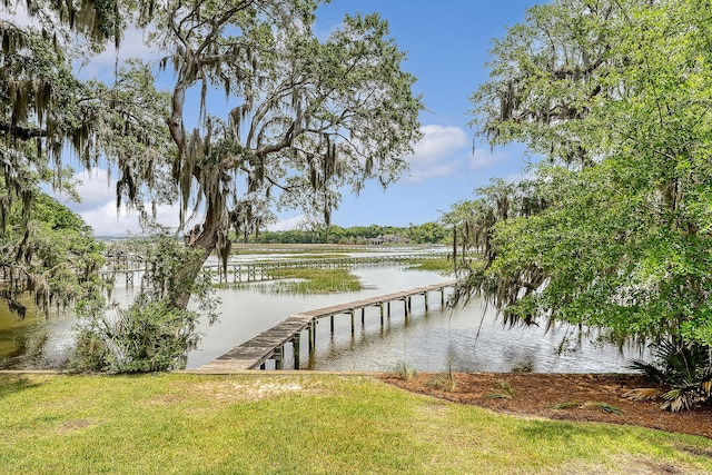 392 Tombee Ct, Mount Pleasant, SC 29464