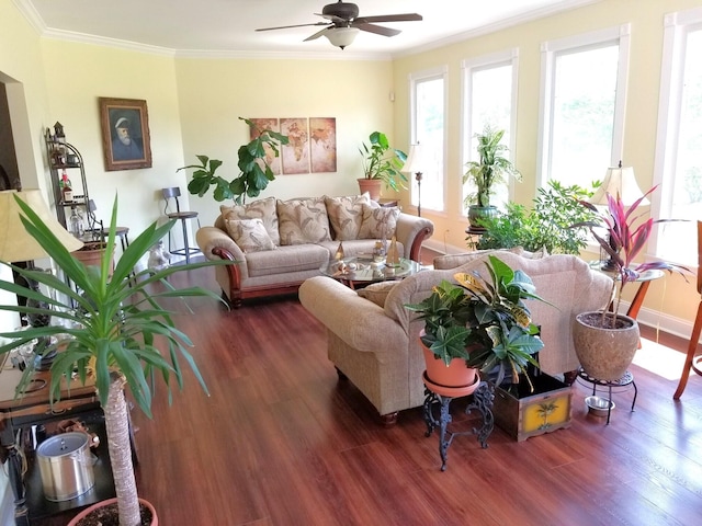 living room featuring ceiling fan, hardwood / wood-style flooring, and crown molding