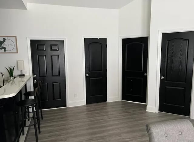 entryway with dark wood-type flooring