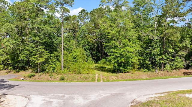 928 Fauling Rd, Saint Stephen, SC 29479