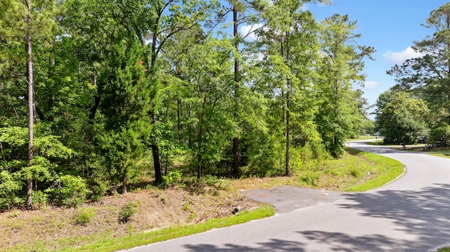 928 Fauling Rd, Saint Stephen, SC 29479