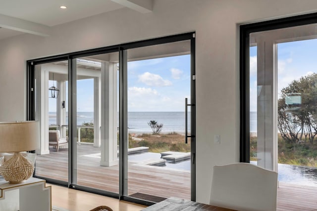 entryway featuring a water view, wood-type flooring, and a wealth of natural light