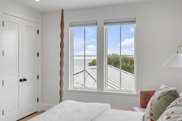 bedroom featuring hardwood / wood-style flooring, a water view, and multiple windows