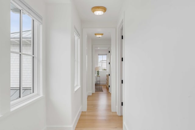 hall featuring light hardwood / wood-style floors