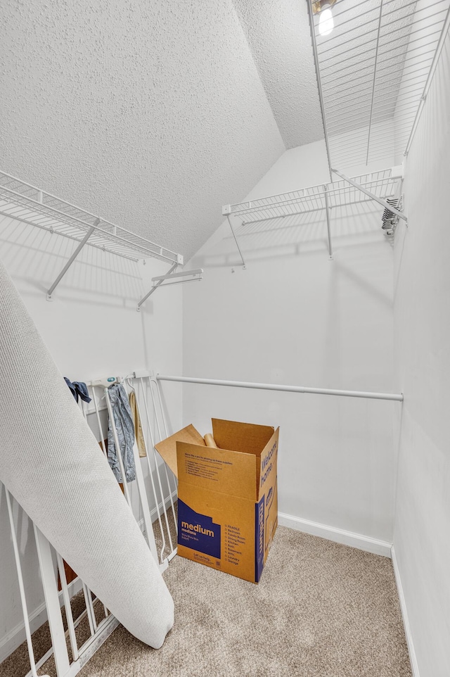 spacious closet featuring carpet and vaulted ceiling