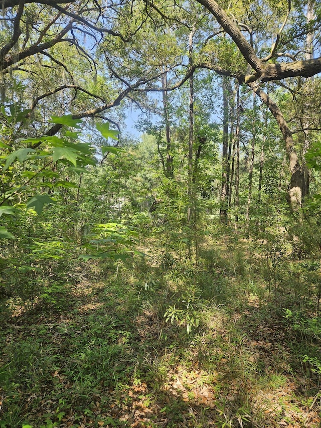 4281 Haulover Dr, Johns Island, SC 29455