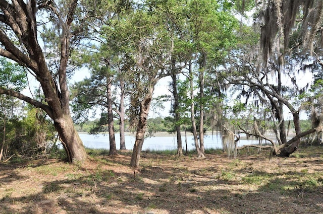 00 Ranch Rd, Wadmalaw Island SC, 29487 land for sale