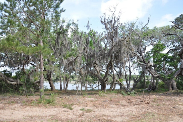 Listing photo 3 for 00 Ranch Rd, Wadmalaw Island SC 29487