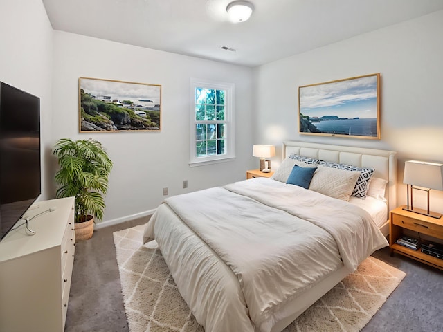 109 Evance Ct, Summerville, SC 29485 - bedroom featuring carpet floors