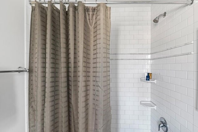 162 Spring St, Charleston, SC 29403 - full bath with a shower with curtain