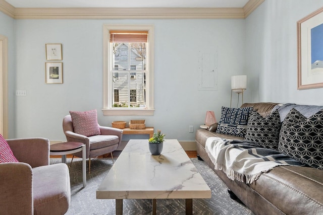 162 Spring St, Charleston, SC 29403 - living room featuring crown molding, wood finished floors, and baseboards