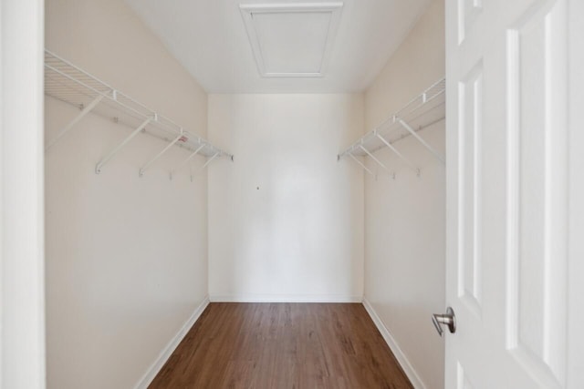 spacious closet featuring wood finished floors