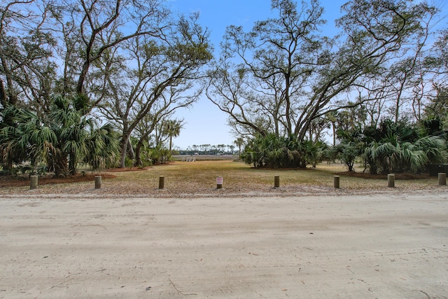 view of yard with a rural view