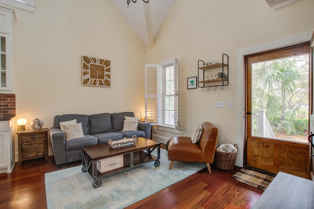 living room with high vaulted ceiling and dark wood finished floors