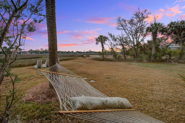 view of yard at dusk