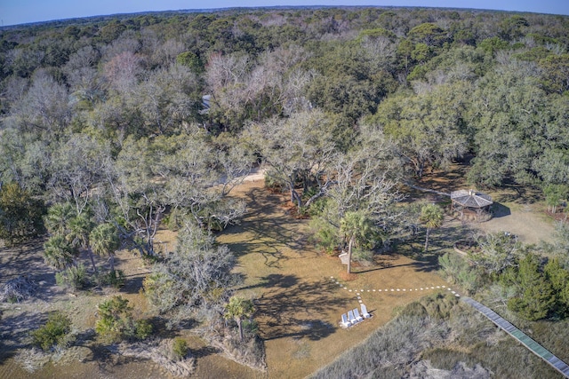 aerial view with a forest view