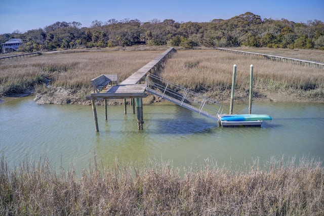 dock area with a water view