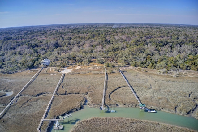 birds eye view of property featuring a water view and a forest view