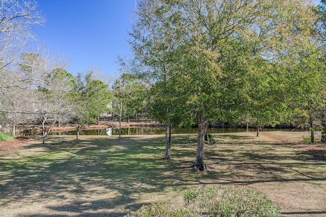 view of yard featuring a water view