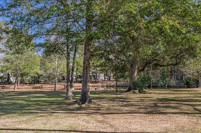 view of yard with a water view