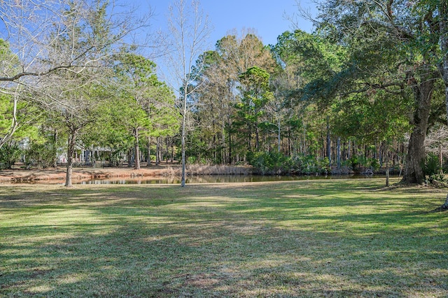 view of yard with a water view