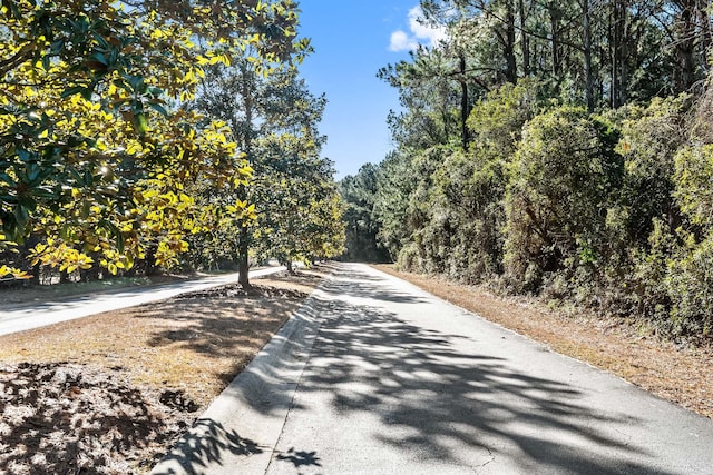 2636 Anchor Watch Dr, Wadmalaw Island, SC 29487 - view of street
