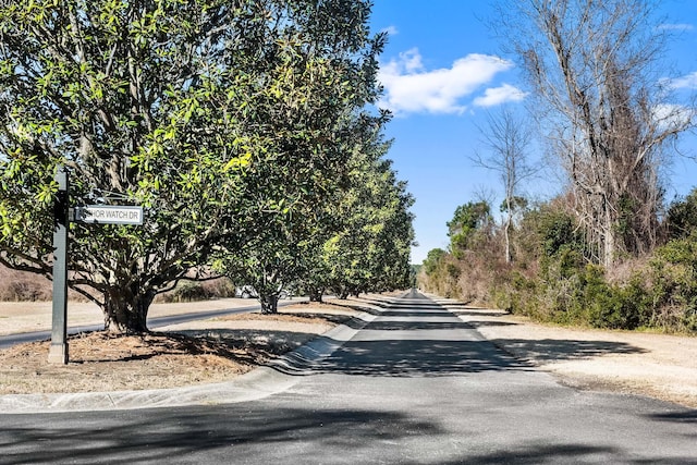 2636 Anchor Watch Dr, Wadmalaw Island, SC 29487 - view of road