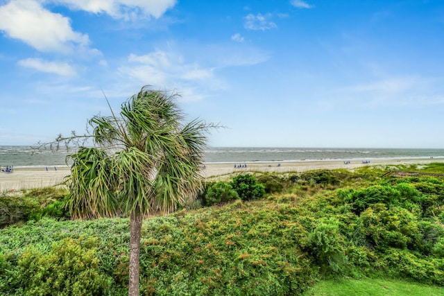 4 Beach Club Villas, Isle Of Palms, SC 29451 - water view with local beach