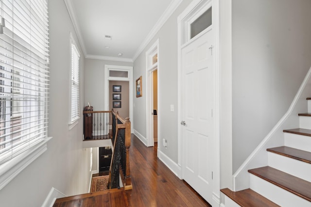 hallway with ornamental molding and dark hardwood / wood-style flooring