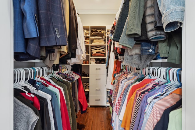 walk in closet featuring dark hardwood / wood-style flooring