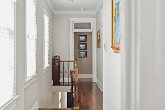 hall with dark hardwood / wood-style floors and ornamental molding