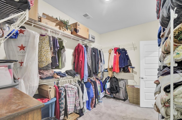 spacious closet with light carpet