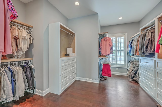 spacious closet featuring dark wood-type flooring