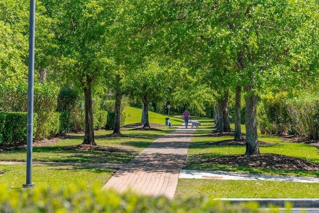 view of community with a yard