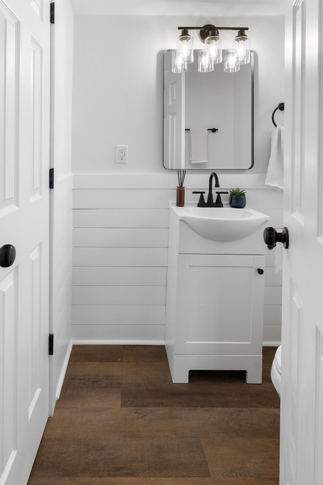 bathroom with wood-type flooring and vanity