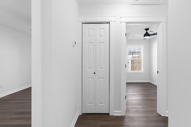 hallway with dark hardwood / wood-style floors